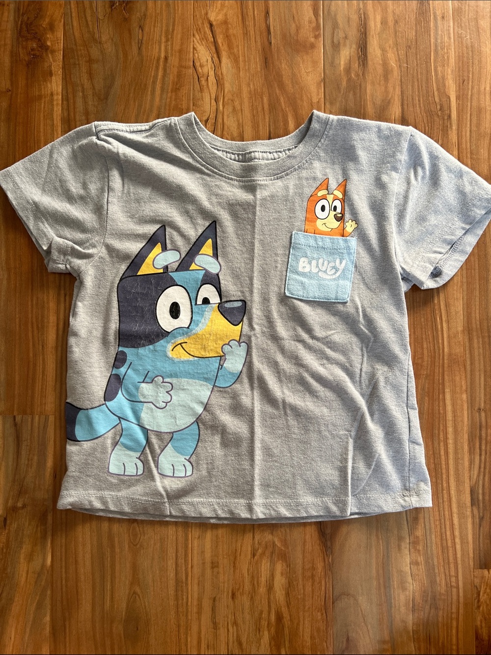 Light Gray Bluey Graphic Tee with Pocket